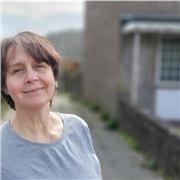 ONLINE A Level / iGCSE / GCSE Physics Tutor (with GCSE Bio)